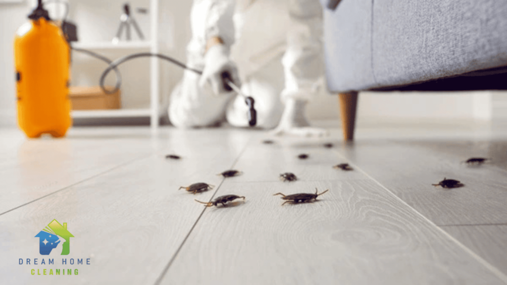 Cockroach Spraying