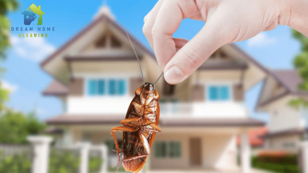 Pest spraying services