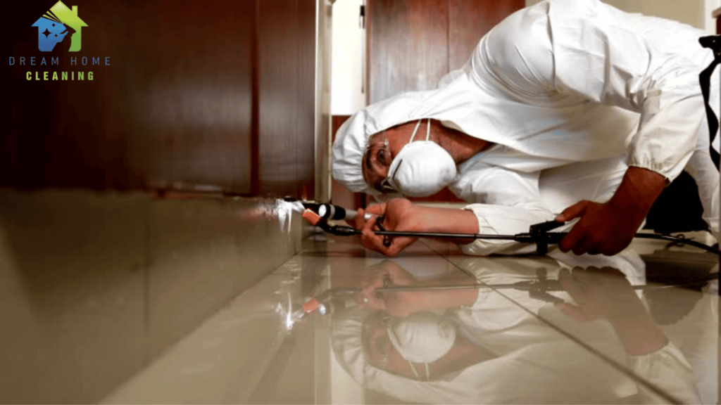 Pest Control Company in Dubai