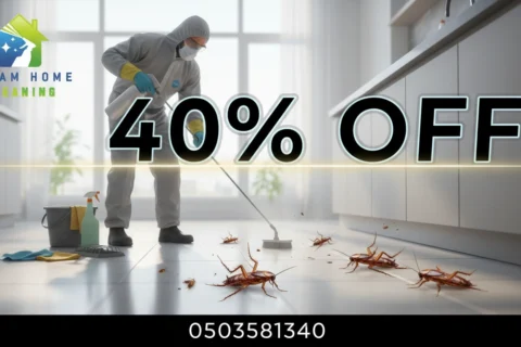مكافحة حشرات في عجمان