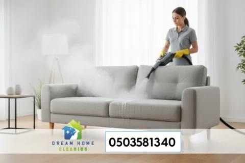 Sofa Cleaning Methods