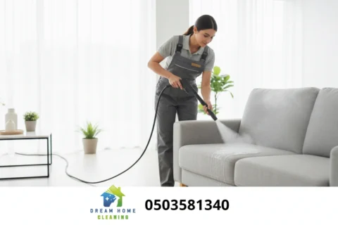 Sofa Cleaning
